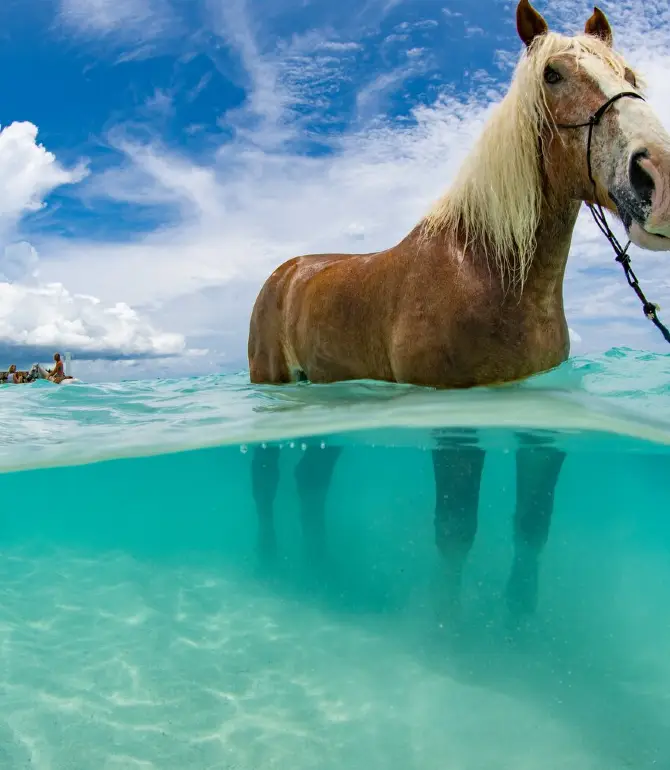 Providenciales