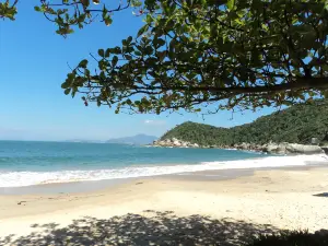 Praia da Tainha