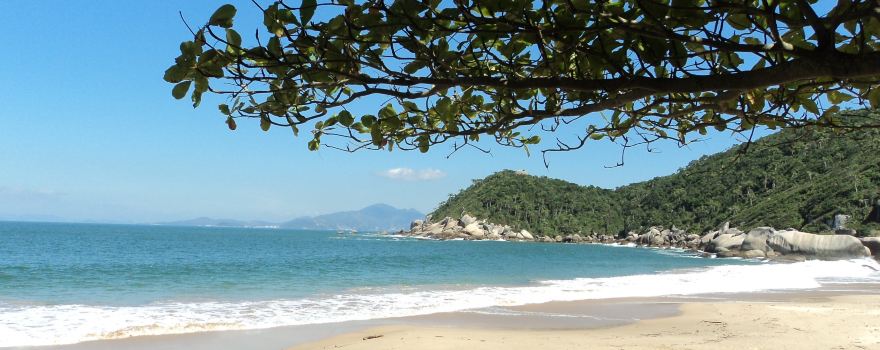 Praia da Tainha