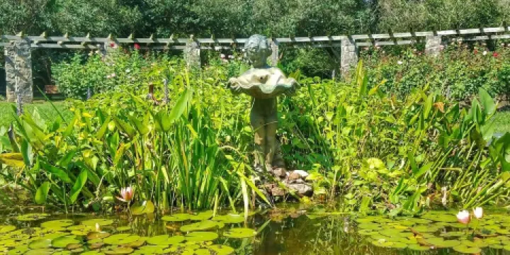 Raleigh Little Theatre Rose Garden