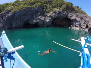 BICOL DIVE CENTER - Donsol office