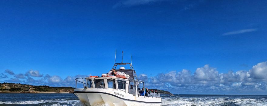Seacoast Safaris - Puffin Island Boat Trips