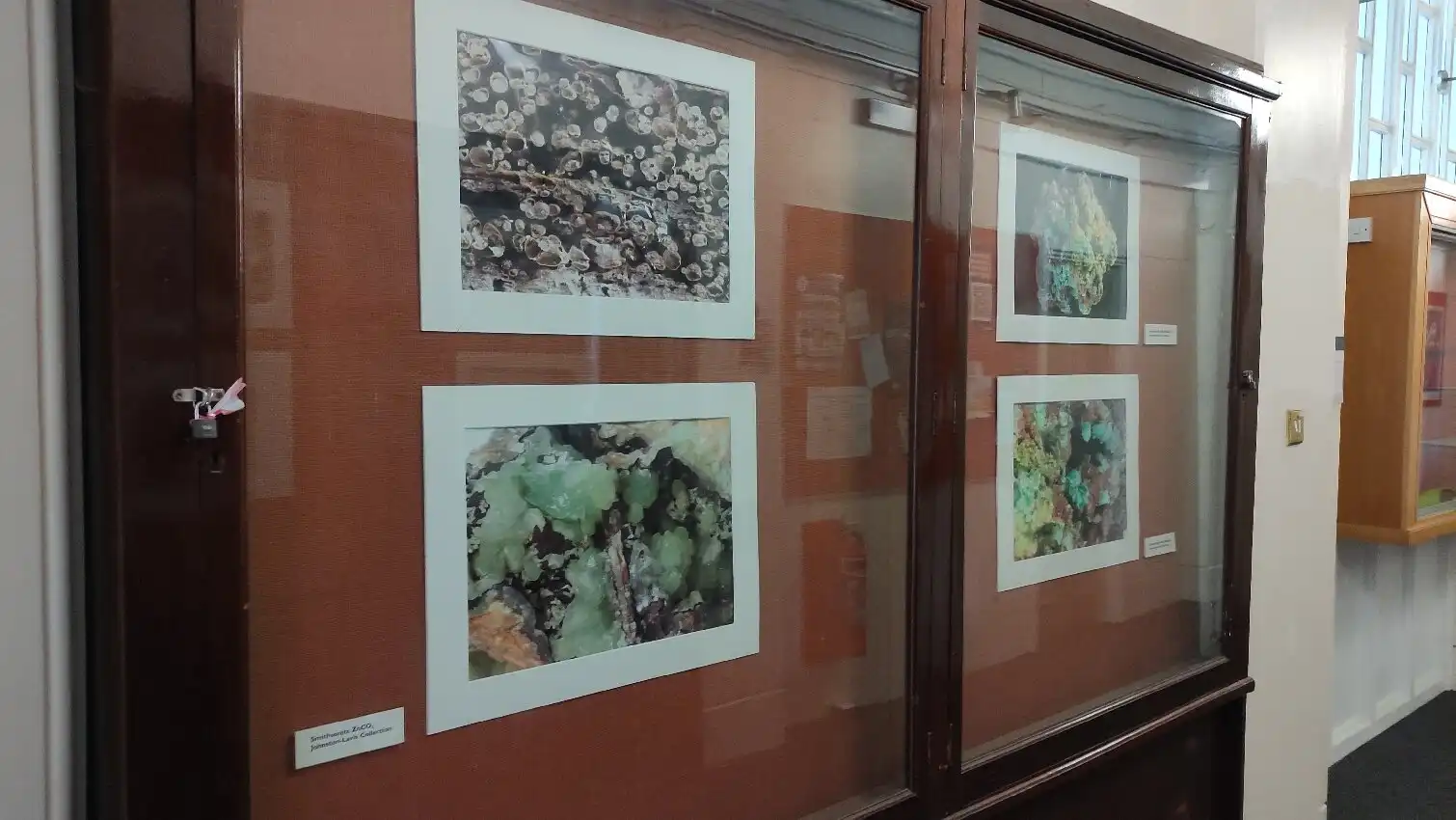 Hotels near UCL Geology Collections