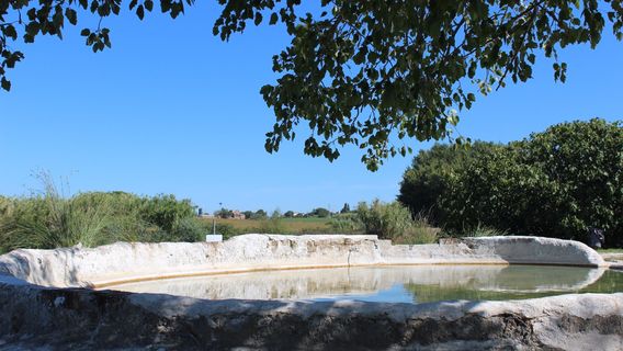 Thermal spring of Bulicame