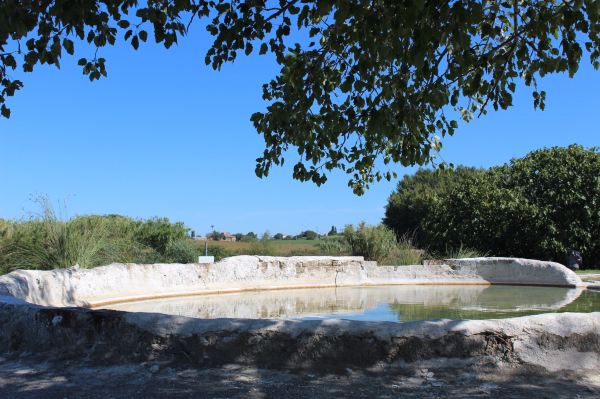 Le Terme del Bullicame