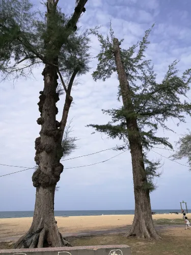 Batu Buruk