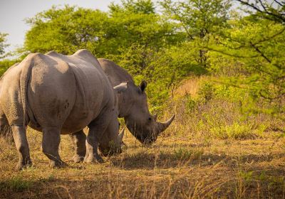 Khama Rhino Sanctuary