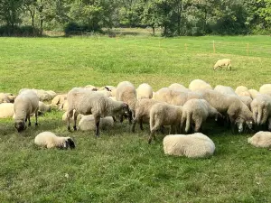 St. Florian's Rural Park