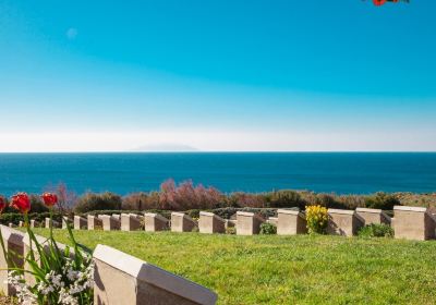 Anzac Cove