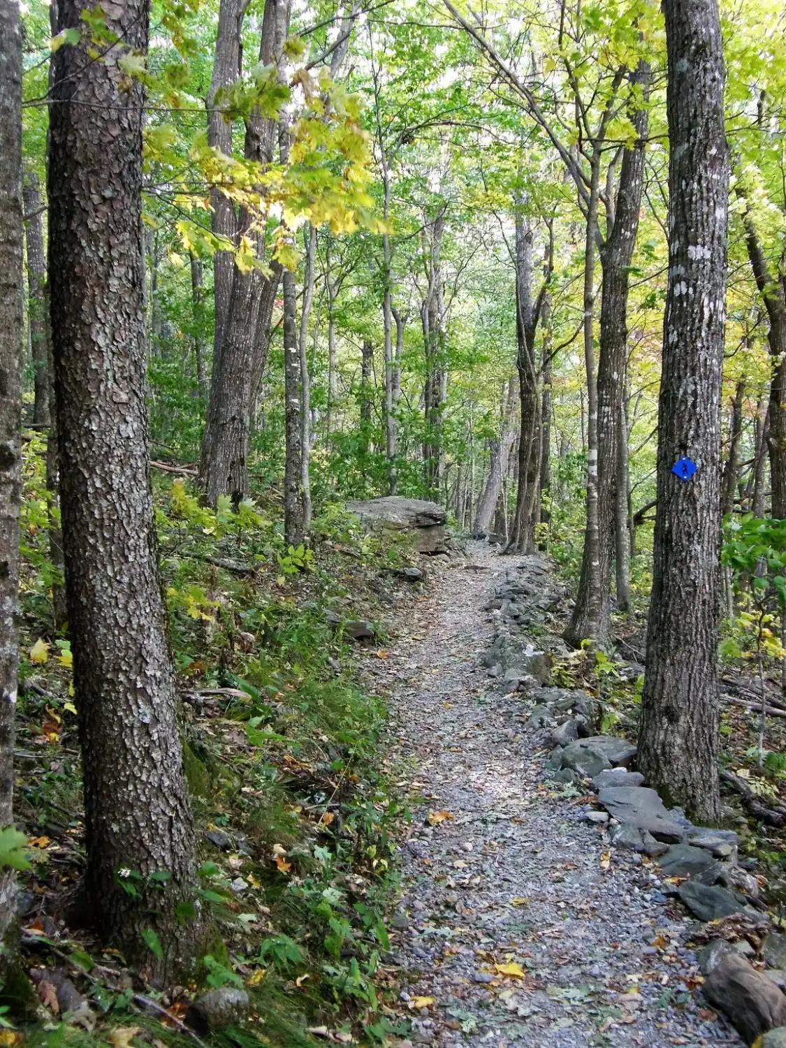 Elk Knob State Park附近的飯店