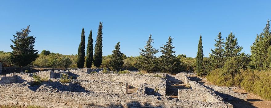 Prizba Remains
