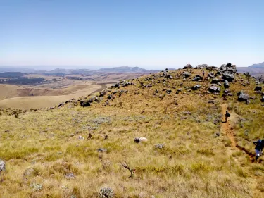 Mutasa