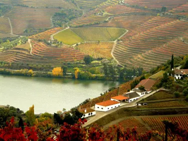Quinta do Crasto