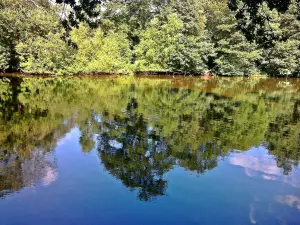 Hartsholme Country Park