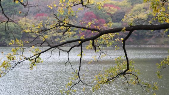 Jinhae NFRDI Environment Eco-Park