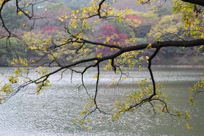 Jinhae NFRDI Environment Eco-Park
