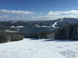 Hakuba Sanosaka Snow Resort