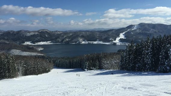 Hakuba Sanosaka Snow Resort