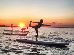 Urban Surf Co.