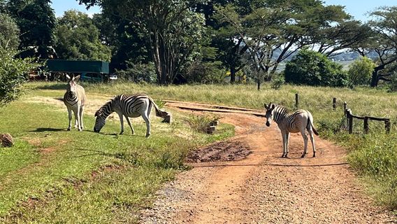 WESSA uMngeni Valley Nature Reserve & Education Centre