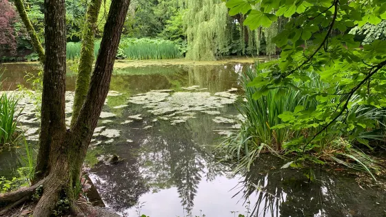Wychwood Wild Garden