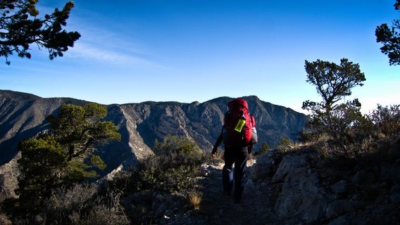 Parco nazionale dei Monti Guadalupe