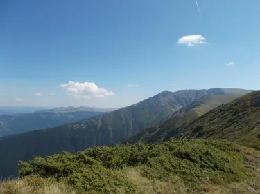 Petrosani