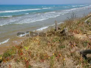 Spiaggia di Santa Maria del Focallo
