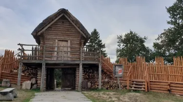 Grodzisko Owidz