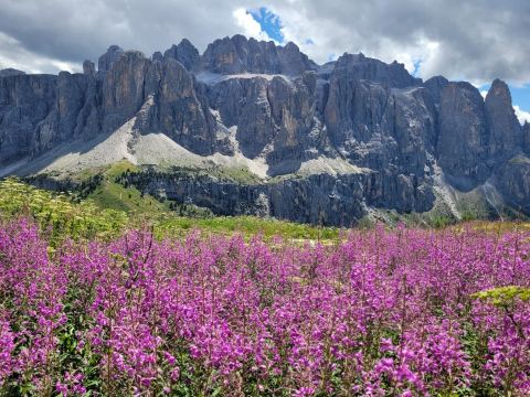 Gardena Pass