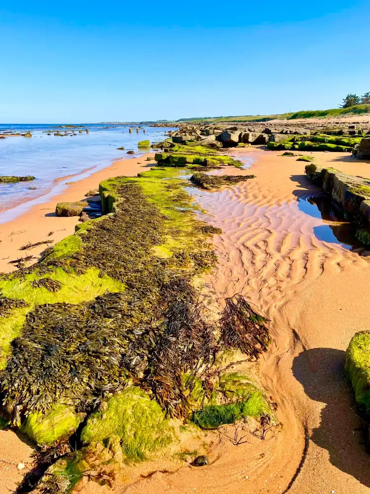 St Andrews