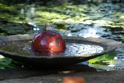 Les Jardins de la Poterie Hillen