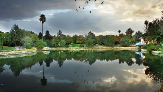 Shiraz