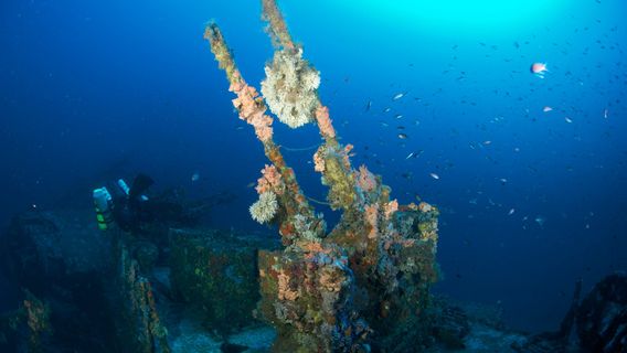 Mistral Diving Center