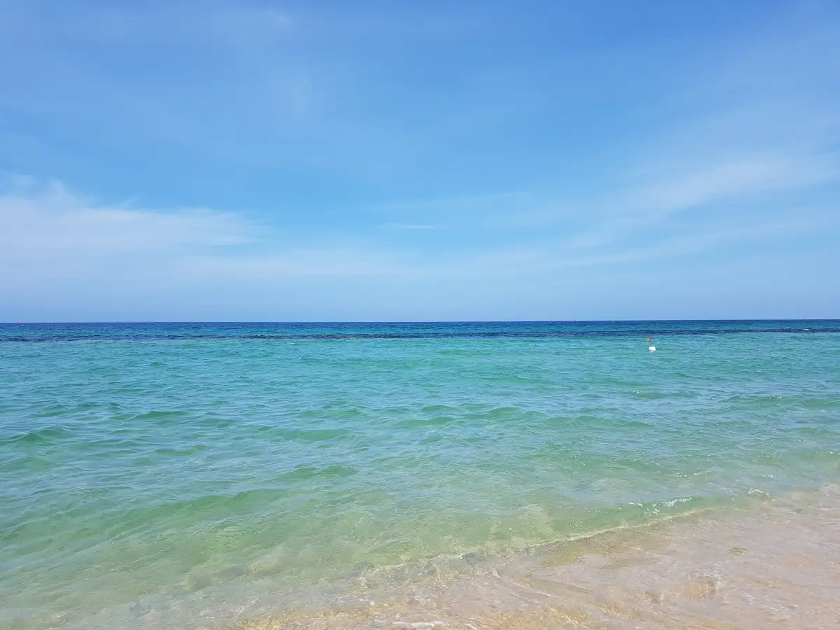 안목해변