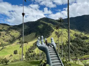 Cocora Valley