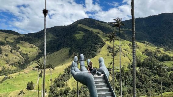 Cocora Valley