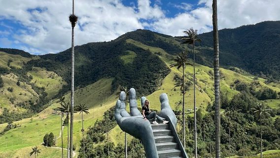 Cocora Valley