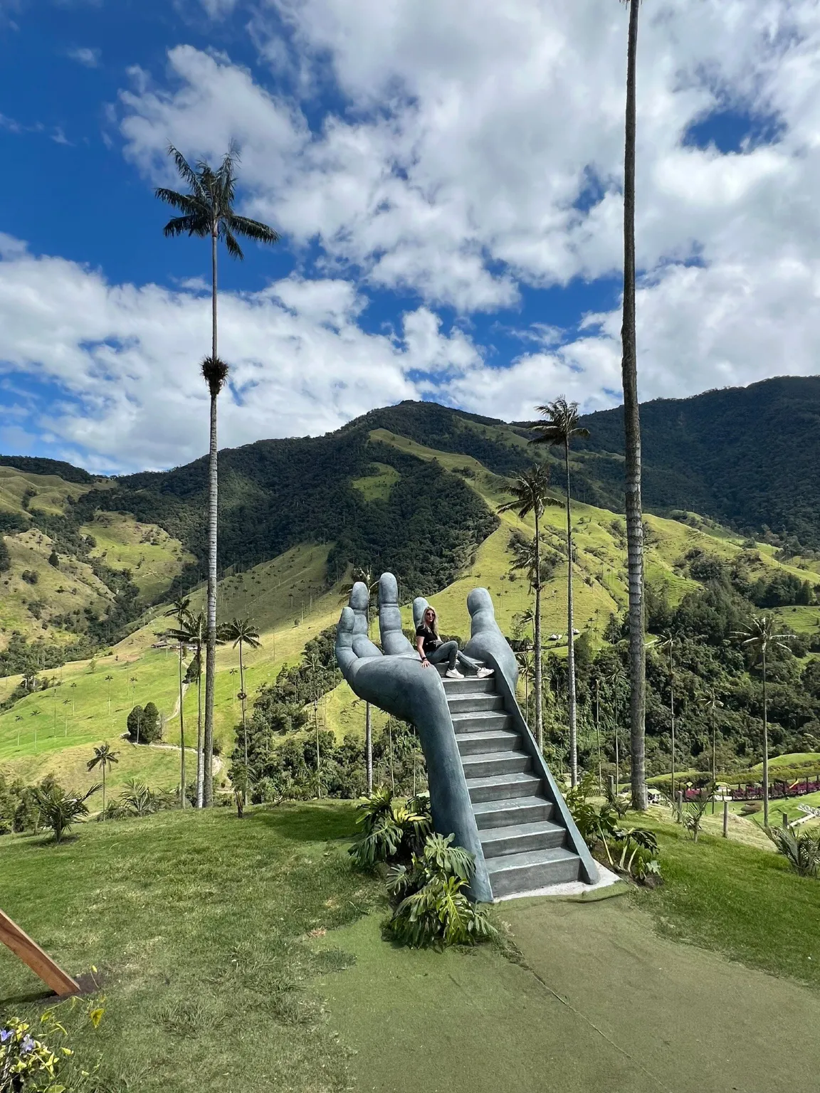 Cocora-Tal
