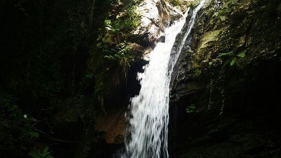 Cascate Del Monardo