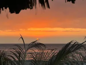 Playa Los Organos