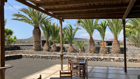 Bodegas Los Bermejos