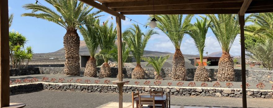 Bodegas Los Bermejos