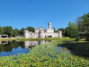 Newman’s Castle