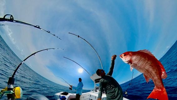 Tamarindo Tours Discovery