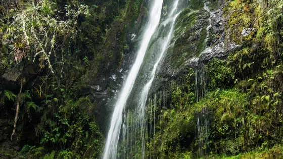 Waterfall of Cariacu