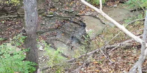 The Narrows Reserve Nature Center