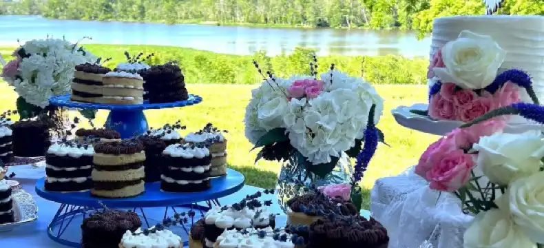 Hotels in Colonial Heights