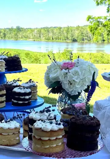 Hoteles en Colonial Heights