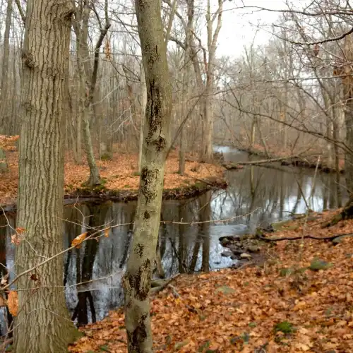 Eisenhower Park